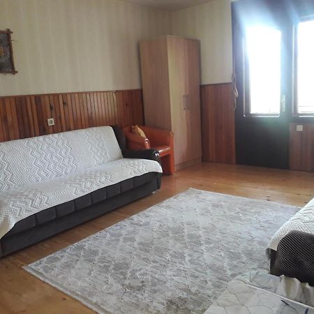 Vila Trtovic Nova Varoš Екстериор снимка